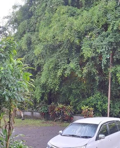Galang Hari ウブド