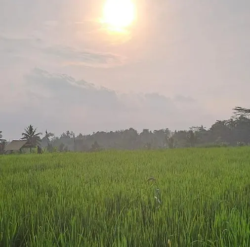 Galang Hari ウブド