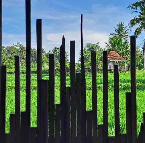 Galang Hari