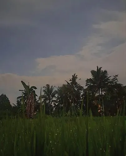 ベッド・アンド・ブレックファスト Galang Hari