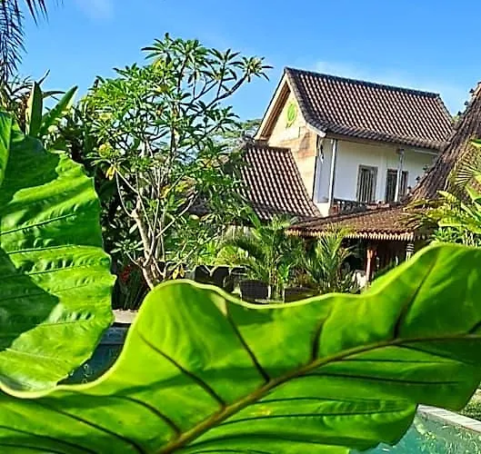 Galang Hari