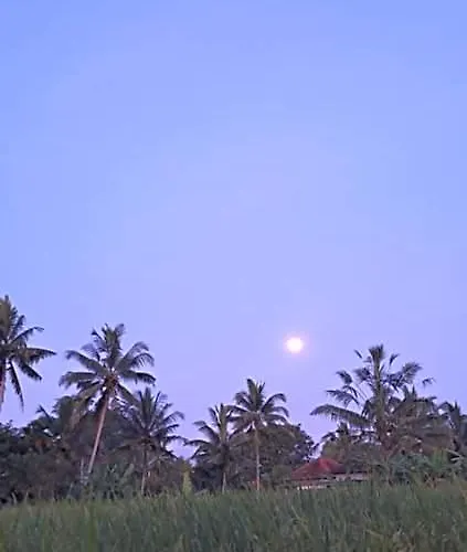 Galang Hari